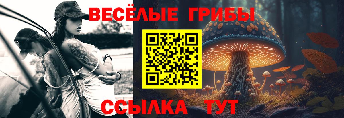 закладки  Псилоцибиновые грибы мухоморы  Галлюциногенные грибы мухоморы  Вход с VPN  Советский 